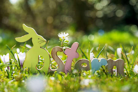 Easter decoration in a soring meadow