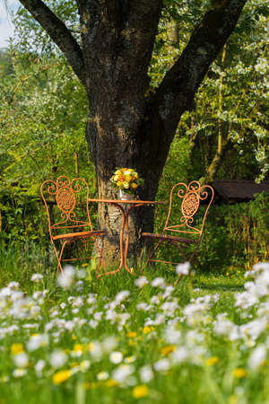 Beautiful place in a spring gardenの写真素材