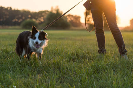 Man with dog on a leashの写真素材