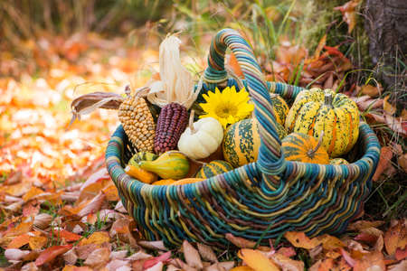Colorful autumn decorations in a gardenの写真素材