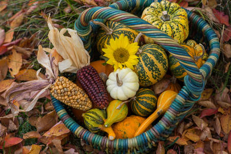 Colorful autumn decorations in a garden