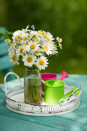 bouquet of daisies in a pot
