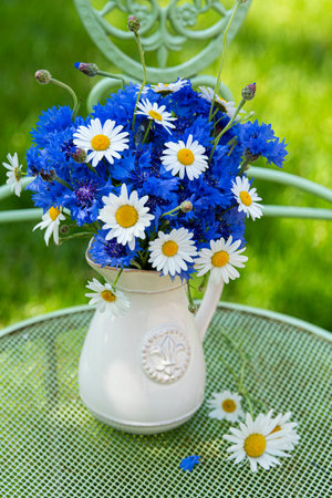 Cornflower bouquet with marguerites on a garden chair in nature backgroundの写真素材