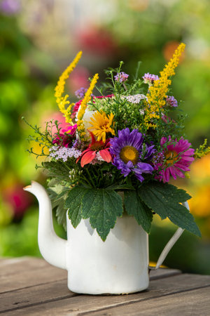 Colorful summer flowers in a pot with nature backgroundの写真素材