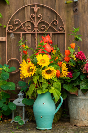 Sunflowers in an enamel bottle on a garden tableの写真素材