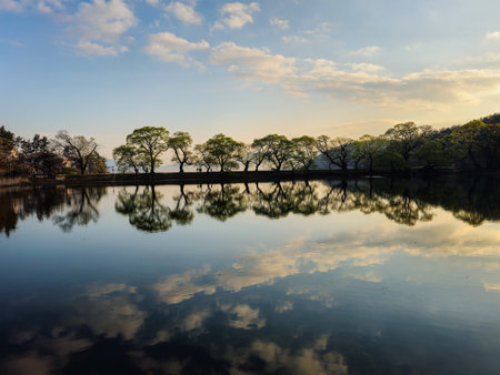 Landscape view of the lake and trees in koreaの写真素材