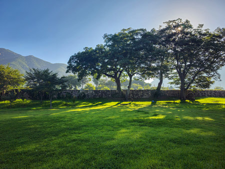 Green grass field in the morning with blue sky and mountains background.の写真素材