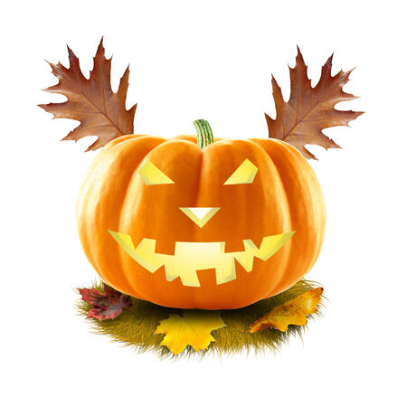 Pumpkin on Halloweenの写真素材