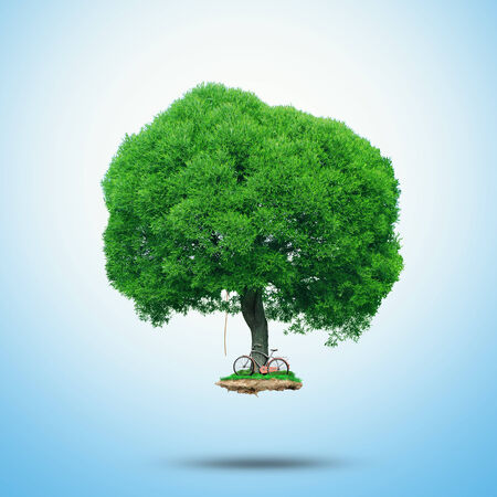 Big green tree with a small glade and bikeの写真素材
