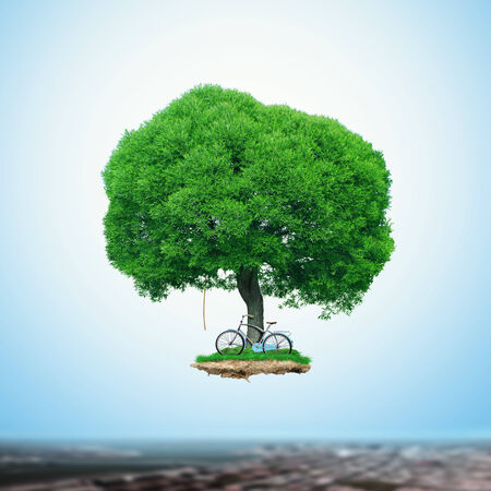 Large tree with a bike flying over the cityの写真素材