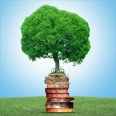 Tree of knowledge, old vintage books, symbol educationの写真素材