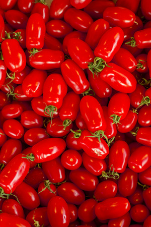 Tomatoes, background red plum tomatoes form, vegetablesの写真素材