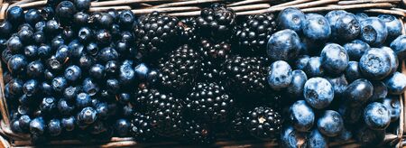 Forest berry harvest in a basket, blackberries, blueberriesの写真素材