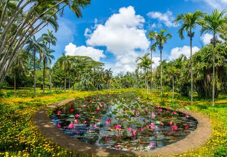 Botanical Garden of Mauritius island, Africaの写真素材