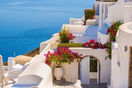 Traditional house and flower in Oia islands , Santorini, Greeceの写真素材