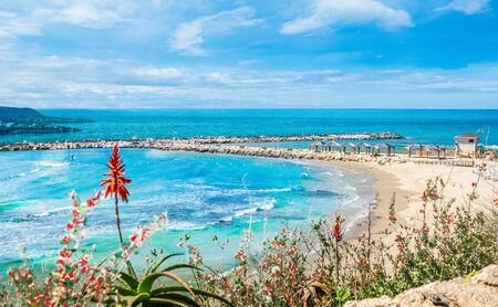 Hilton Bay Beach on Tel Aviv, Israelの写真素材