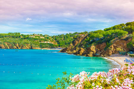 Panoramic view of Pareti beach, Elba Island, Tuscany,Italy.のeditorial素材