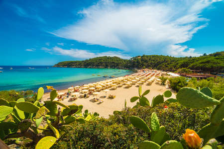 Fetovaia beach, Elba Island, Tuscany, Italy.のeditorial素材