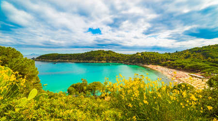 Fetovaia beach, Elba Island, Tuscany, Italy.のeditorial素材