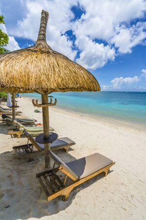 Tropical scenery with amazing beaches of Mauritius islandの写真素材