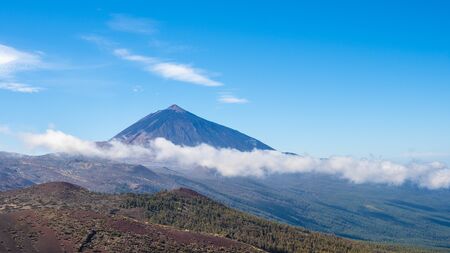 andscape with volcanic mountain Teide in the Teide National Park, Canary islands, Spainの写真素材