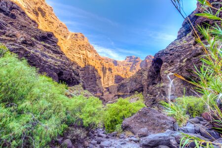 Masca canyon at Tenerife, Spainの写真素材