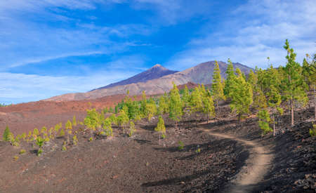 Volcanic mountain Teide and lava desert valley in Teide National Park, Tenerife, Canary Islandsの写真素材