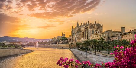 Landscape with Cathedral La Seu at sunset time in Palma de Mallorca islands, Spainの写真素材