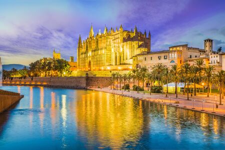 The gothic Cathedral and medieval La Seu in Palma de Mallorca islands, Spainの写真素材