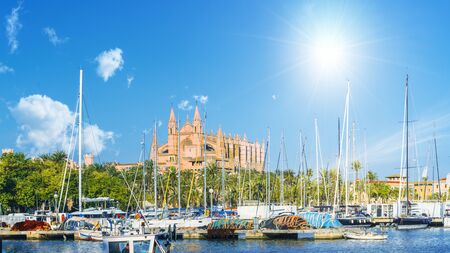 The gothic Cathedral and medieval La Seu in Palma de Mallorca islands, Spain
の写真素材