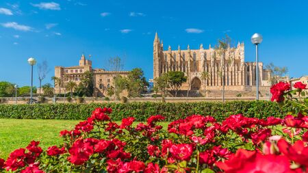 Landscape with Cathedral La Seu, Palma de Mallorca islands, Spainの写真素材