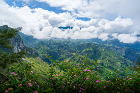 Landscape with Piton des Neiges mountain, La Reunion Islandの写真素材