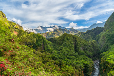 Landscape with National Park and tropical rainforest of Reunion Island, French department in the Indian Oceanの写真素材