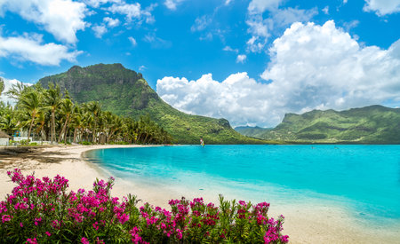 Landscape with Le Morne beach and mountain at Mauritius island, Africaの写真素材