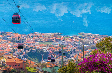 Landscape with Funchal, Madeira island, Portugalの写真素材