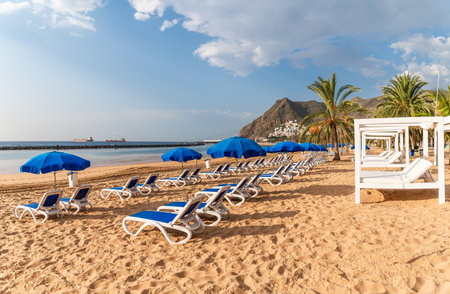 Discover Las Teresitas: Tenerife serene beach paradise with golden sands, tranquil waters, and lush palm trees, perfect for relaxation and water sportsの写真素材