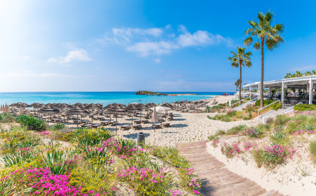 Discover the pristine Nissi Beach in Cyprus, a paradise with white sands and turquoise waters, perfect for relaxation, water sports, and family holidaysの写真素材
