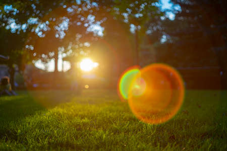Defocused park with benches and trees, at sunset. heavy lens flare from a vintage lensの写真素材