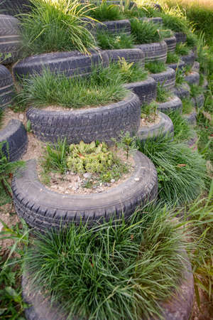 Rammed earth tyre wall, with plants and grassの写真素材