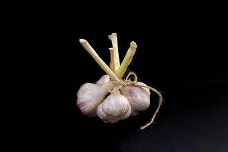 Garlic bouquet isolated on black backgroundの写真素材