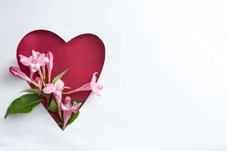 Creative spring layout with flowers and leaves on white paper background. Valentine's day   minimal concept. Heart shape flat lay with pink spring flowers.の写真素材
