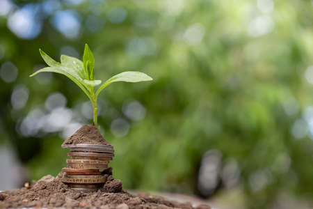 Money Growth Concept - Plant On Coin Stack with soil on green bokeh backgroundの写真素材