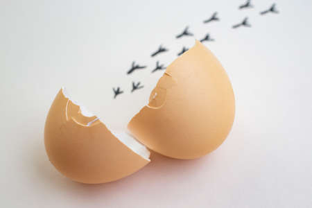Cracked egg shells with a trail of chick foot prints blurred in the backgroundの写真素材