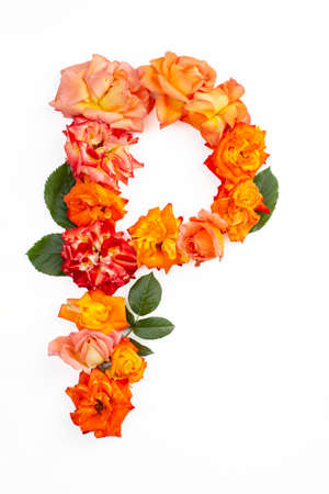 Capital letter P made with red orange roses, isolated on white backgroundの写真素材