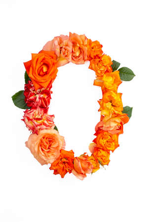 Capital letter O made with red orange roses, isolated on white backgroundの写真素材