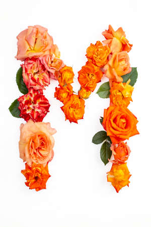 Capital letter M made with red orange roses, isolated on white backgroundの写真素材