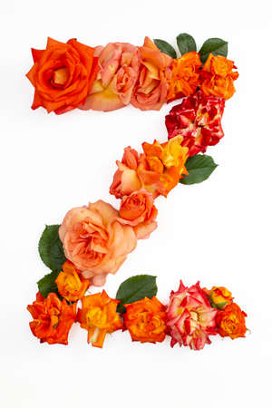 Capital letter Z made with red orange roses, isolated on white backgroundの写真素材