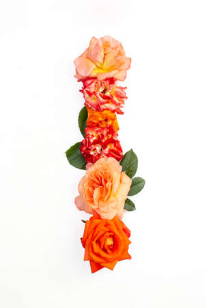 Capital letter I made with red orange roses, isolated on white backgroundの写真素材