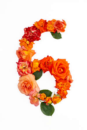 Number 6, six made with real red orange roses, isolated on white background.の写真素材