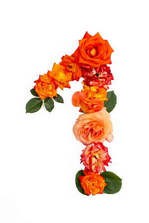 Number 1, one made with real red orange roses, isolated on white background.の写真素材